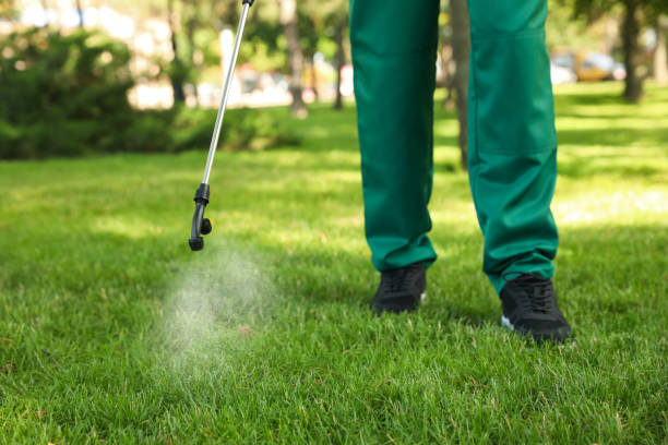 Best Best Pest Control Companies  in Carthage, NC